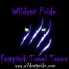 Wildcat logoTheirs.jpg