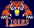 tiger face logo-navy.jpg