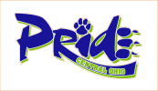 Central Ohio Pride Logo.png