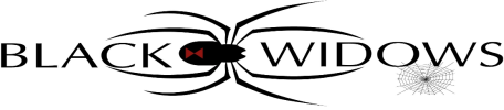 Black Widows Logo.png