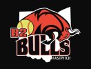 Bulls Logo.jpg