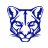 Lady Pumas